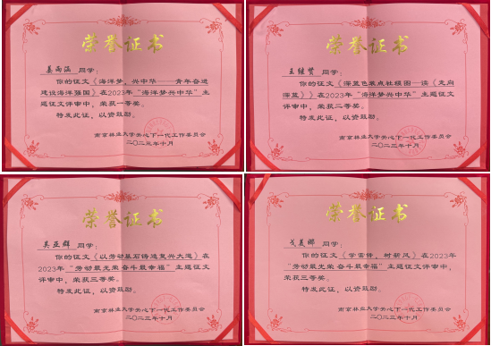 图片3